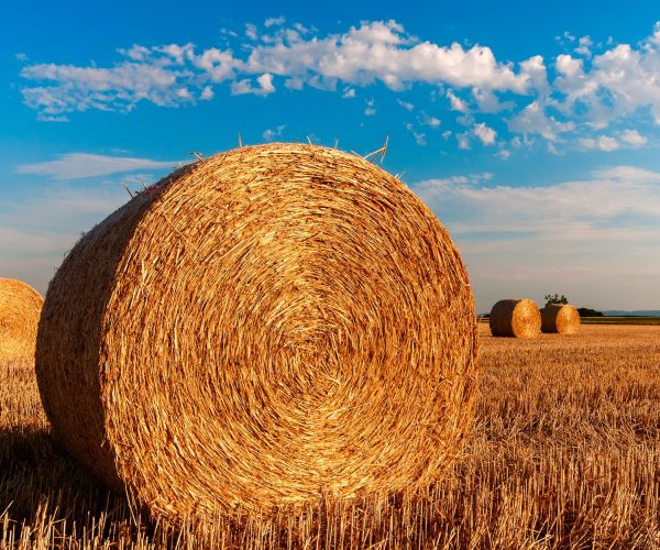 hay-bales-g6dbc1aac3_1920 hay-bales-g6dbc1aac3_1920